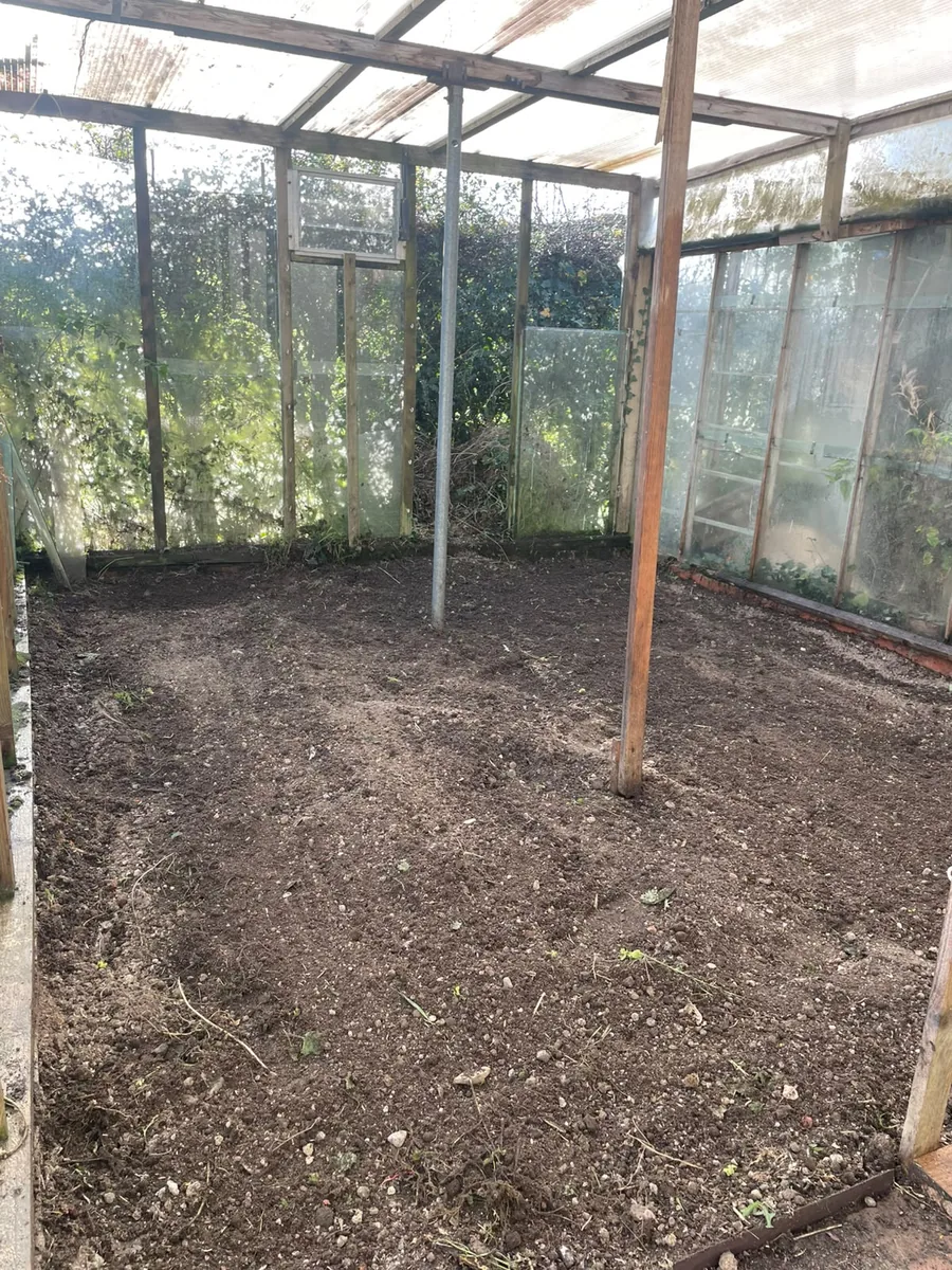 Greenhouse clearance — after