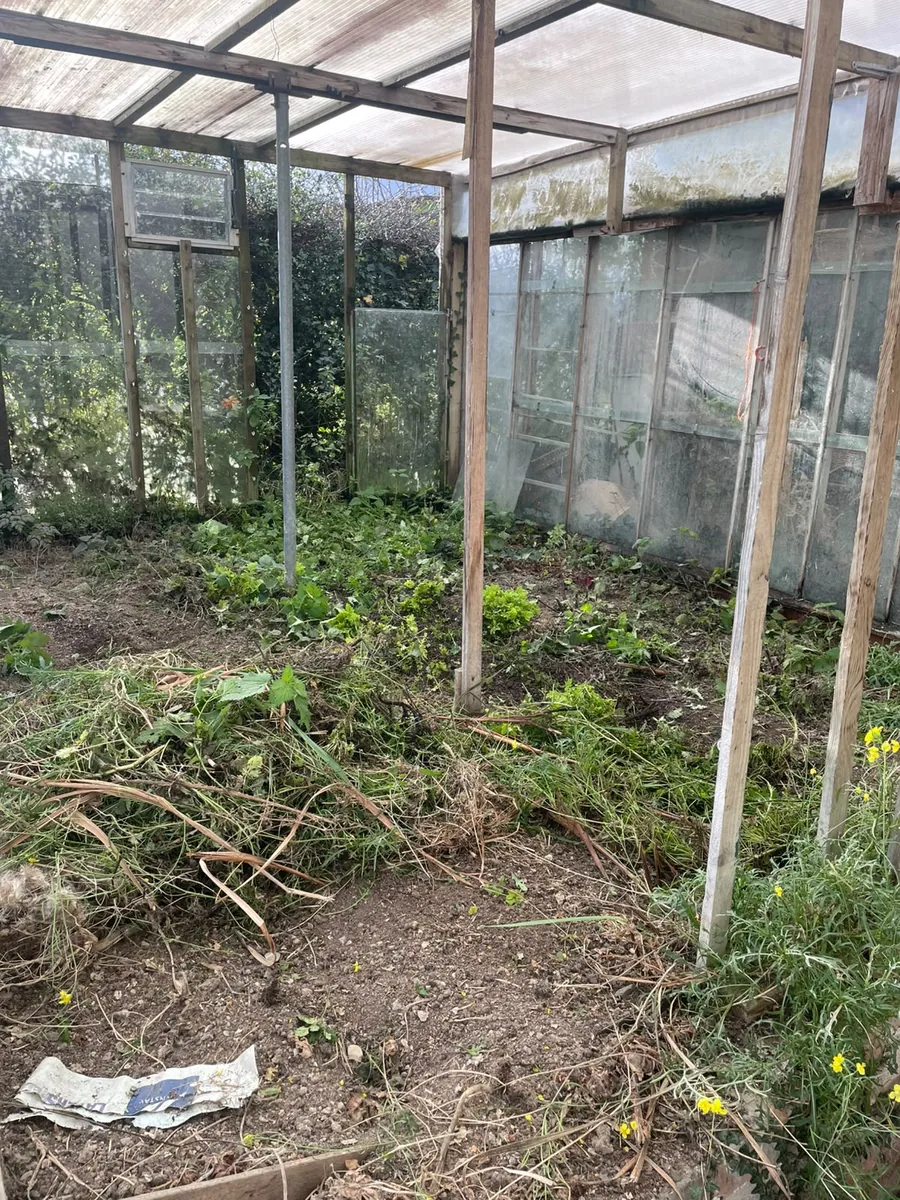 Greenhouse clearance — before