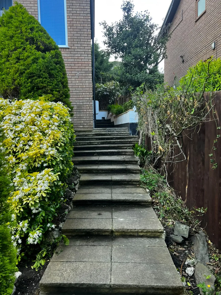 Garden steps cleared — after