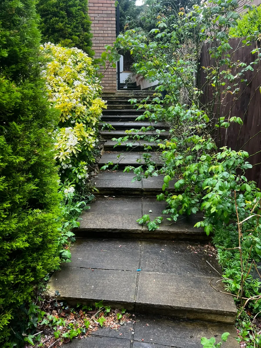 Garden steps overgrown — before clearance